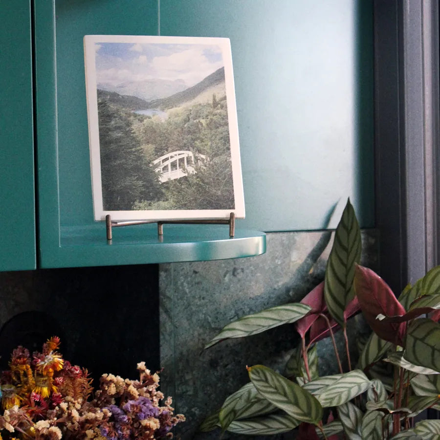 photograph, screen-printed on a tile, of a bridge over water on a teal cabinet with plants below and a green stone on the background